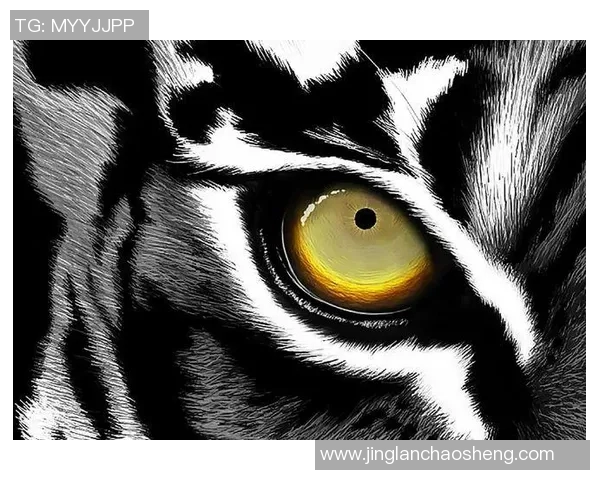 狼队与贝西克塔激战正酣谁将赢得这场精彩对决的胜利